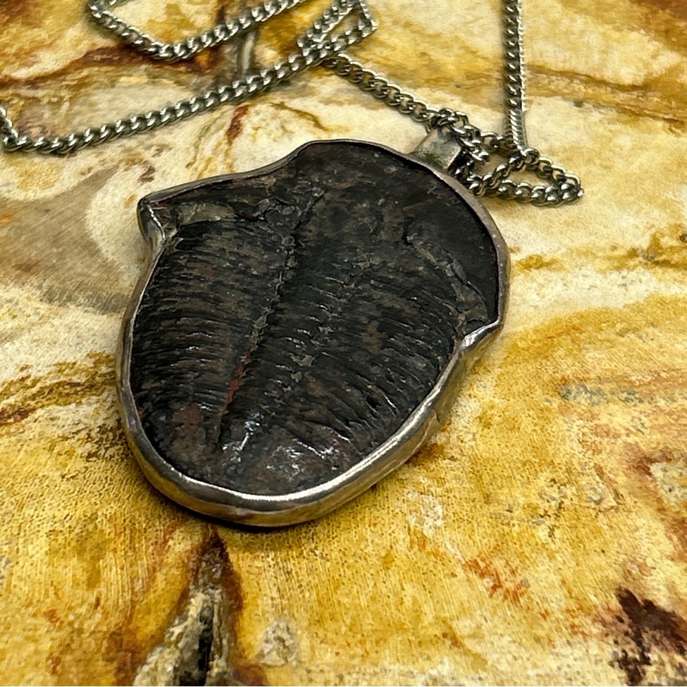 Vintage Trilobite Fossil Pendant In Sterling On Silver Tone Chain Unmarked - Picture 2 of 5